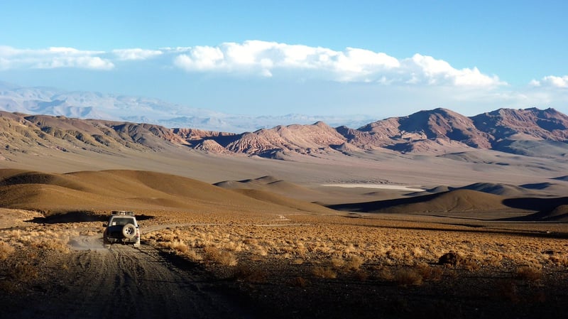 Exotic Expeditions